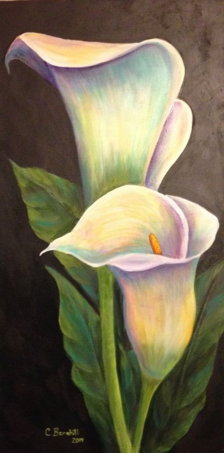 Каллы акварелью розовые,