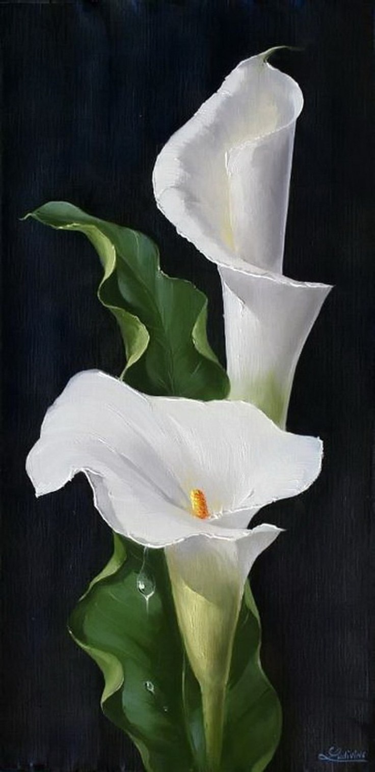 Каллы Эллери Гутьеррес