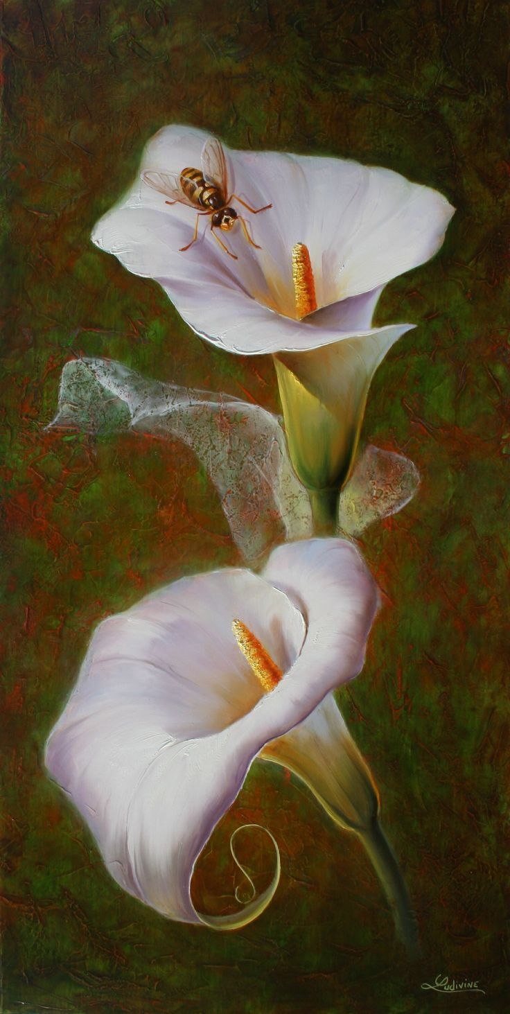 Эллери Гутьеррес (Ellery Gutierrez)