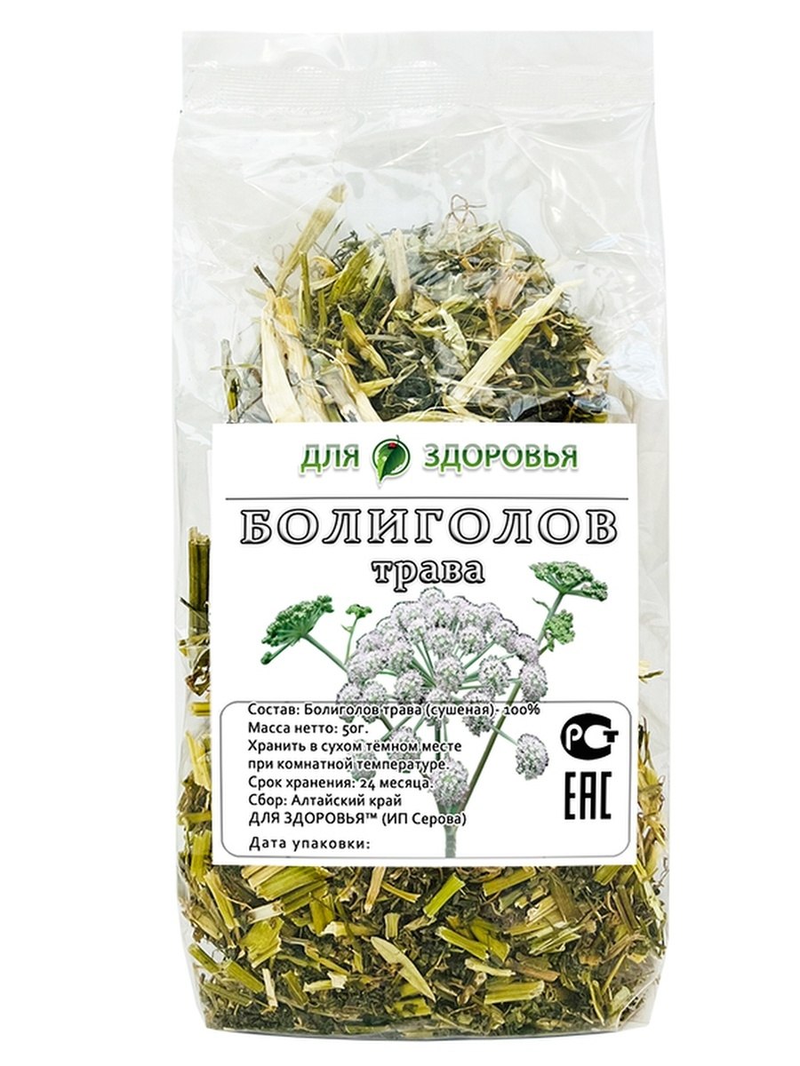 Conium maculatum болиголов пятнистый