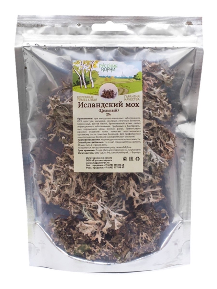 Исландский мох (цетрария)