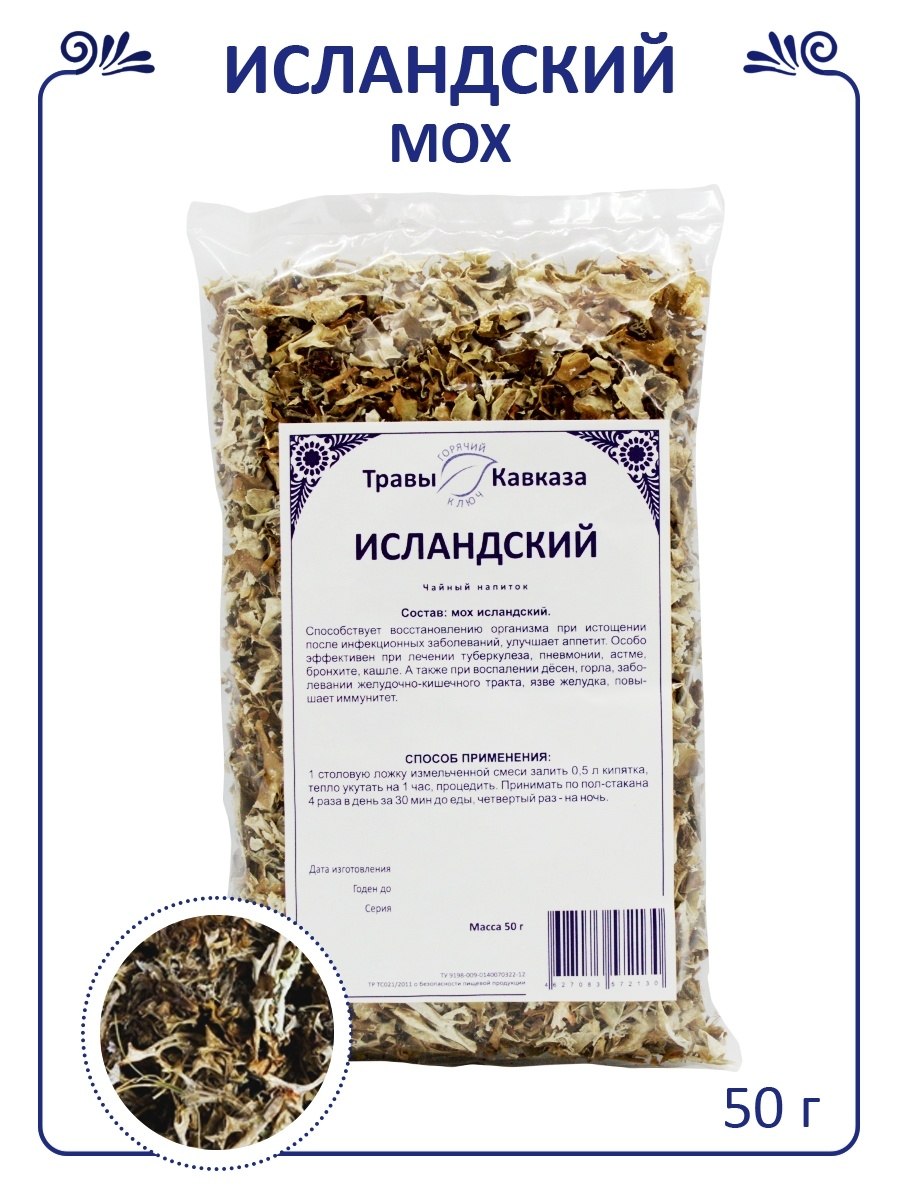 Лишайник цетрария Исландская