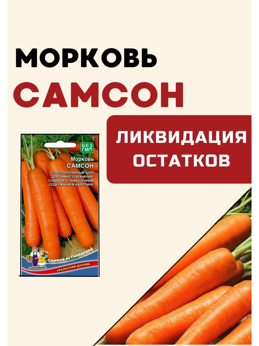 Морковь Санькина любовь f1