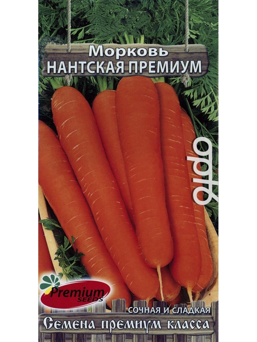Морковь санькина любовь