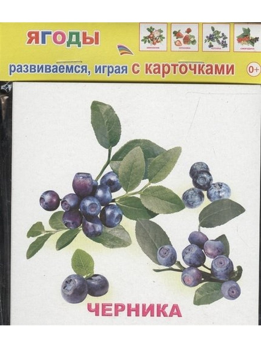 Голубика кустарник