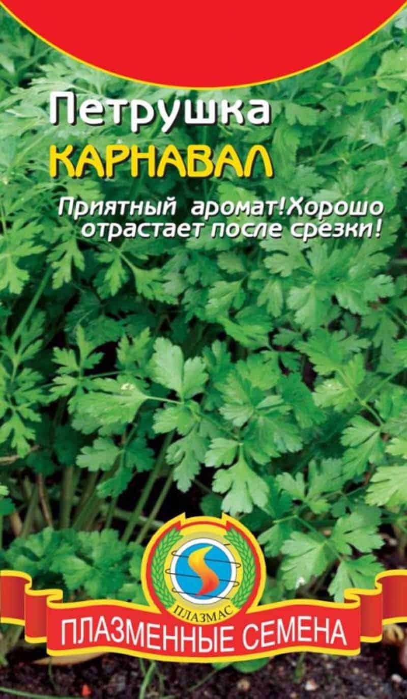 Петрушка кудрявая