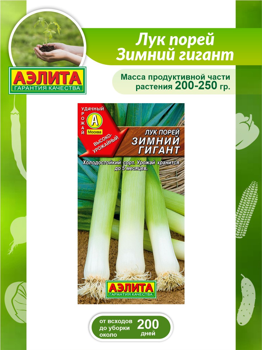 Аэлита лук зимний гигант порей