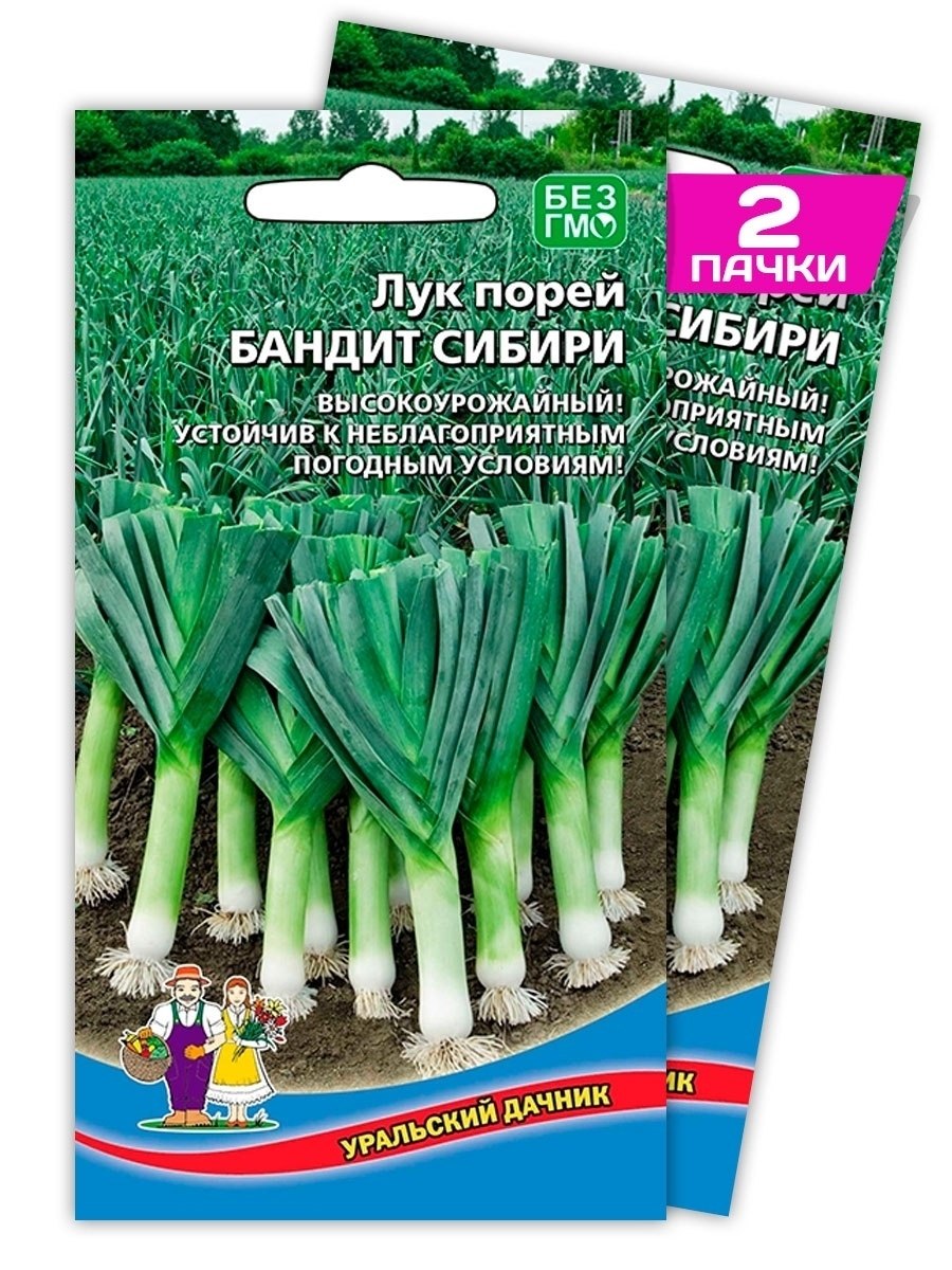 Семена лук порей бандит