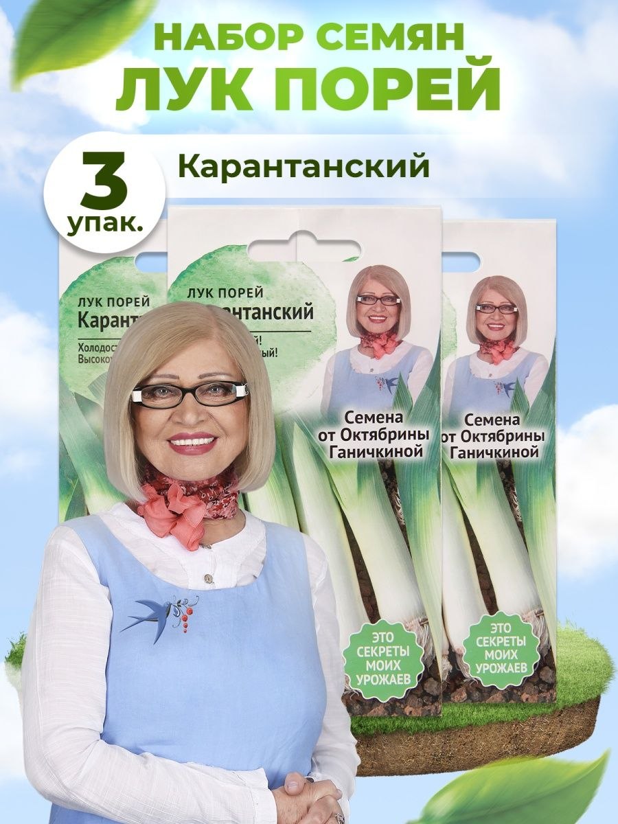 Лук порей на грядке