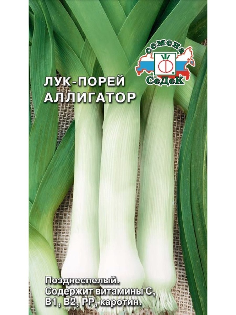 СЕДЕК лук Аллигатор порей