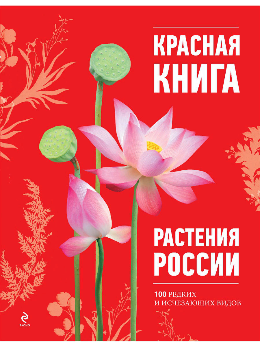Пион Марьин корень тонколистный