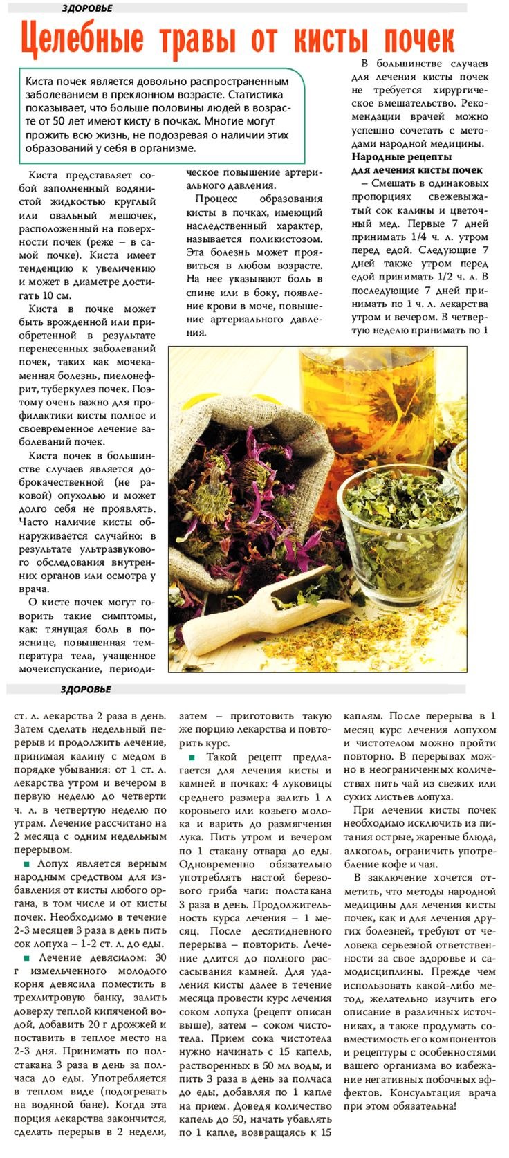 Сироп (сок лопуха 100 мл Вн ) фармзавод Гален-Россия