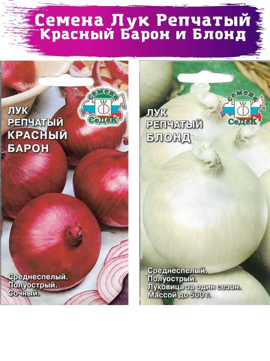 Лук репчатый сорт Свифт