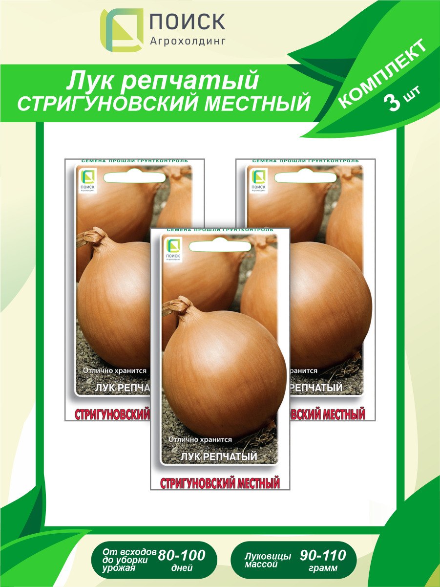 Лук репчатый Манас