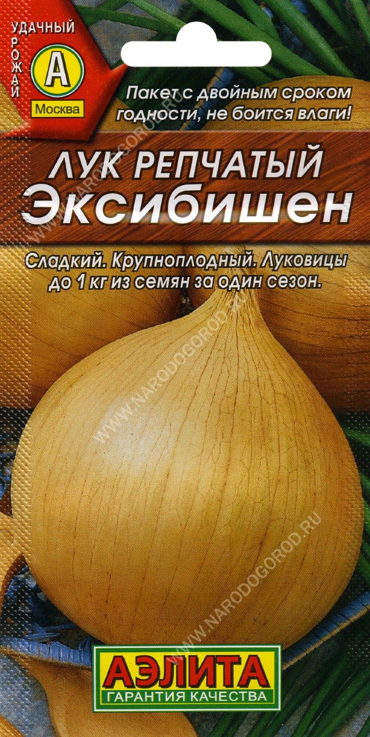 Лук Штутгартер Ризен семена