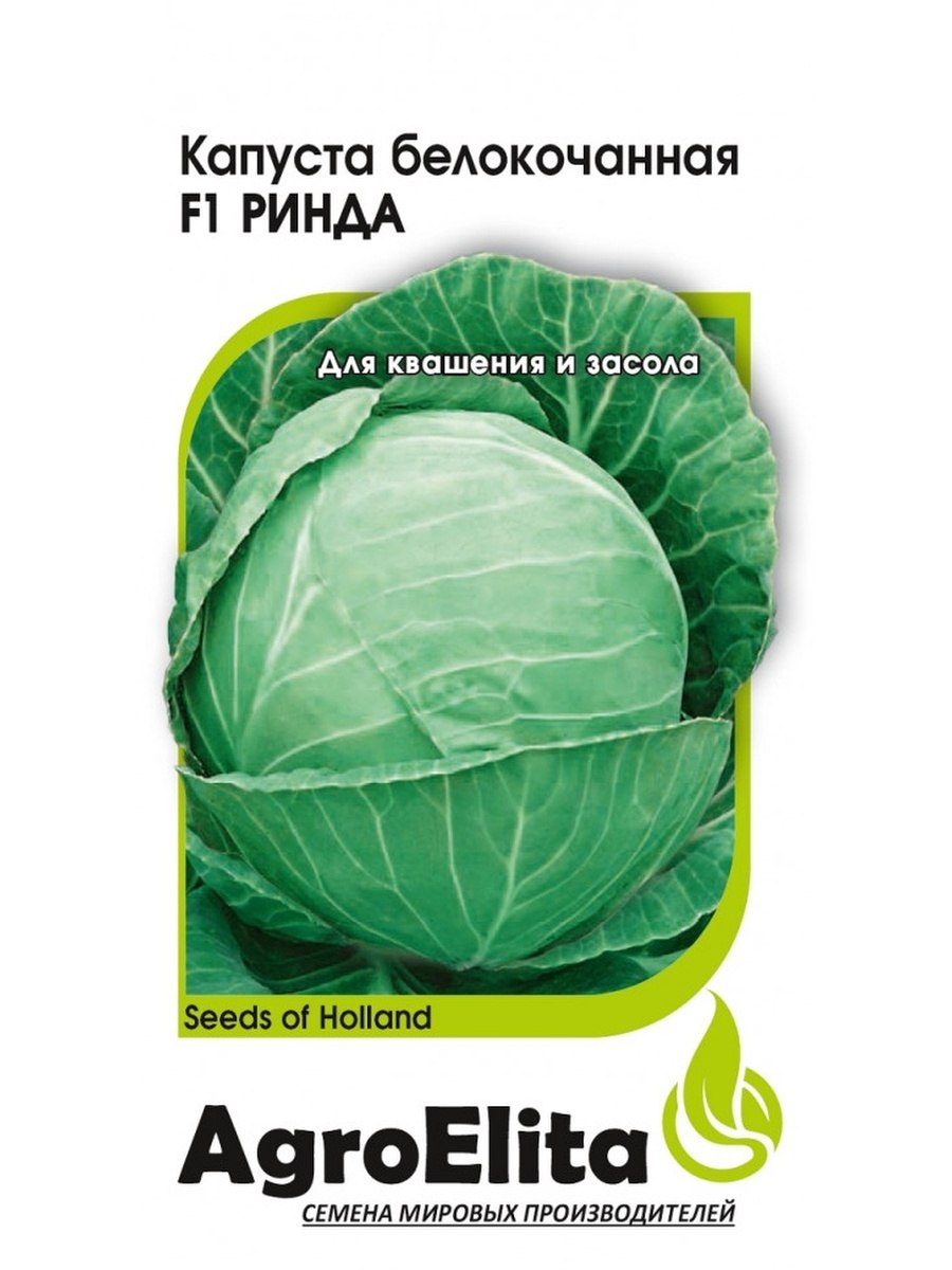 Капуста Аммон f1