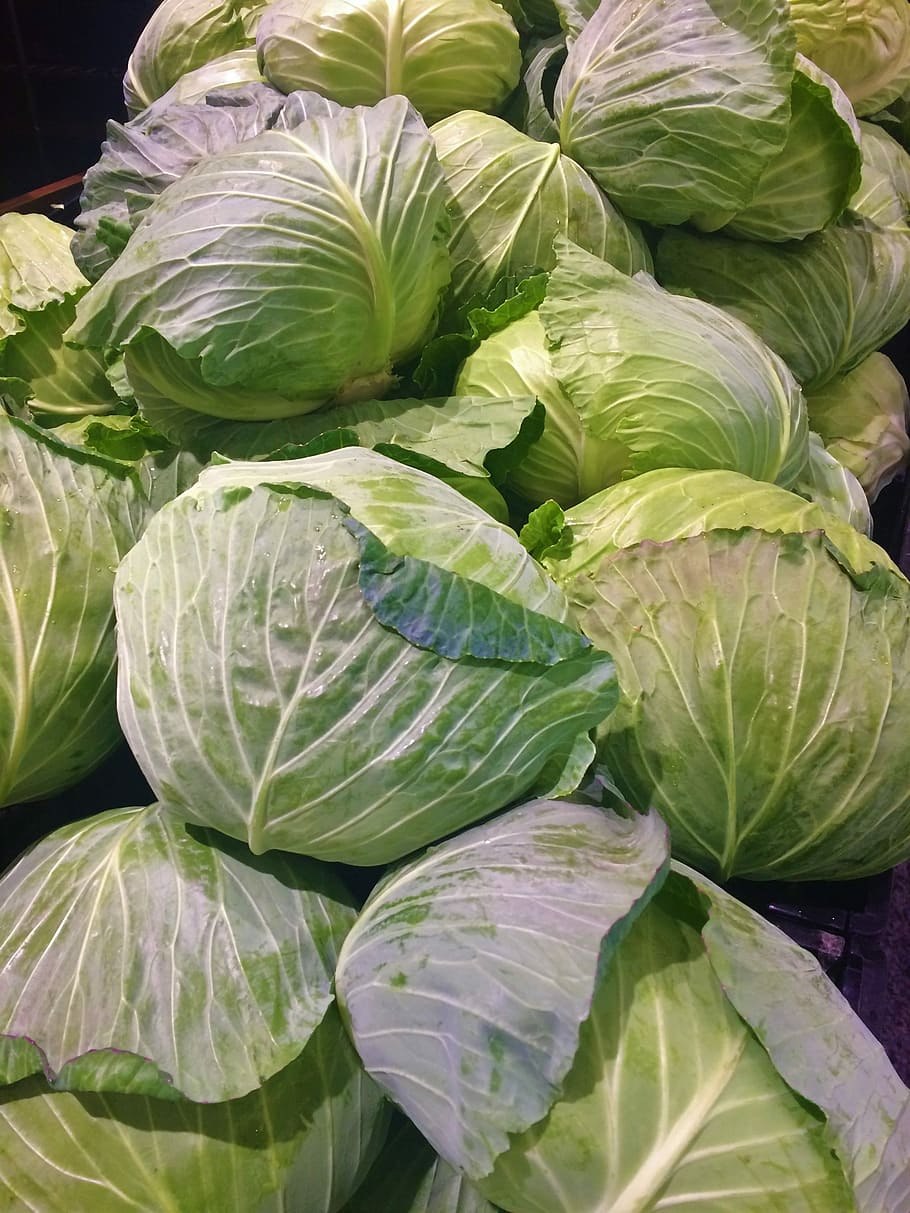A Cabbage или an Cabbage
