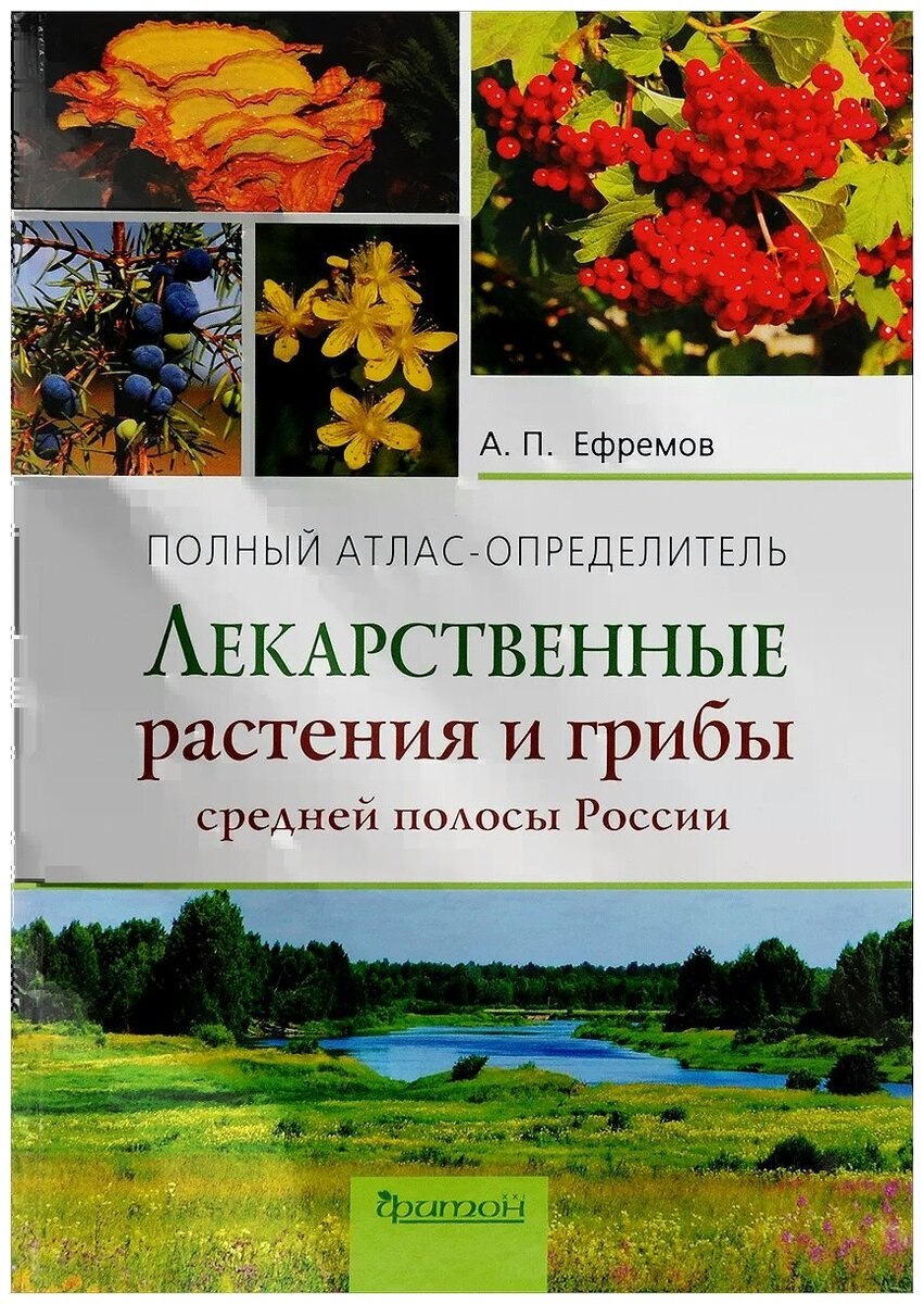 Шанцер растения средней полосы европейской России