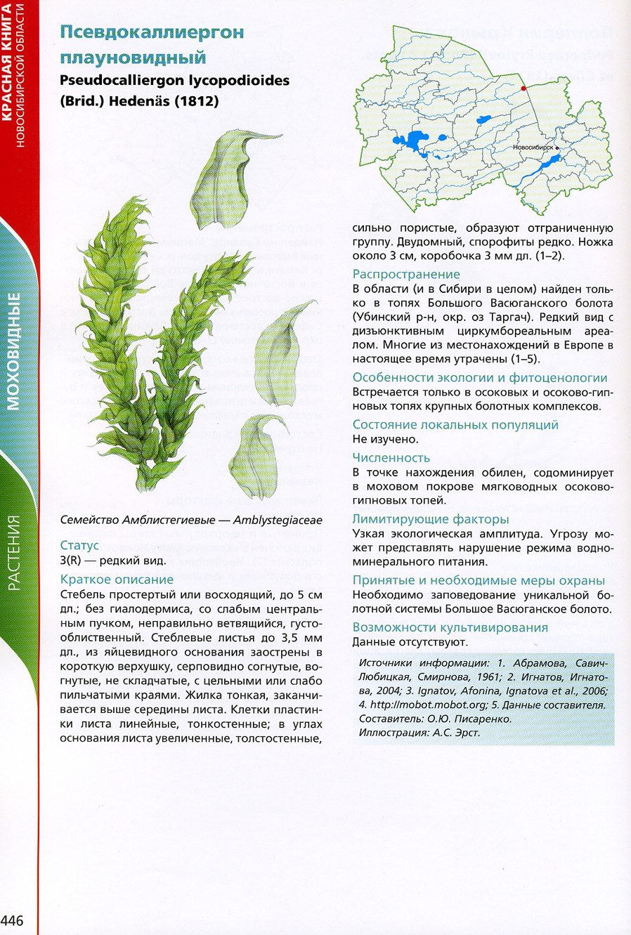 Плауновидные растения занесенные в черную книгу