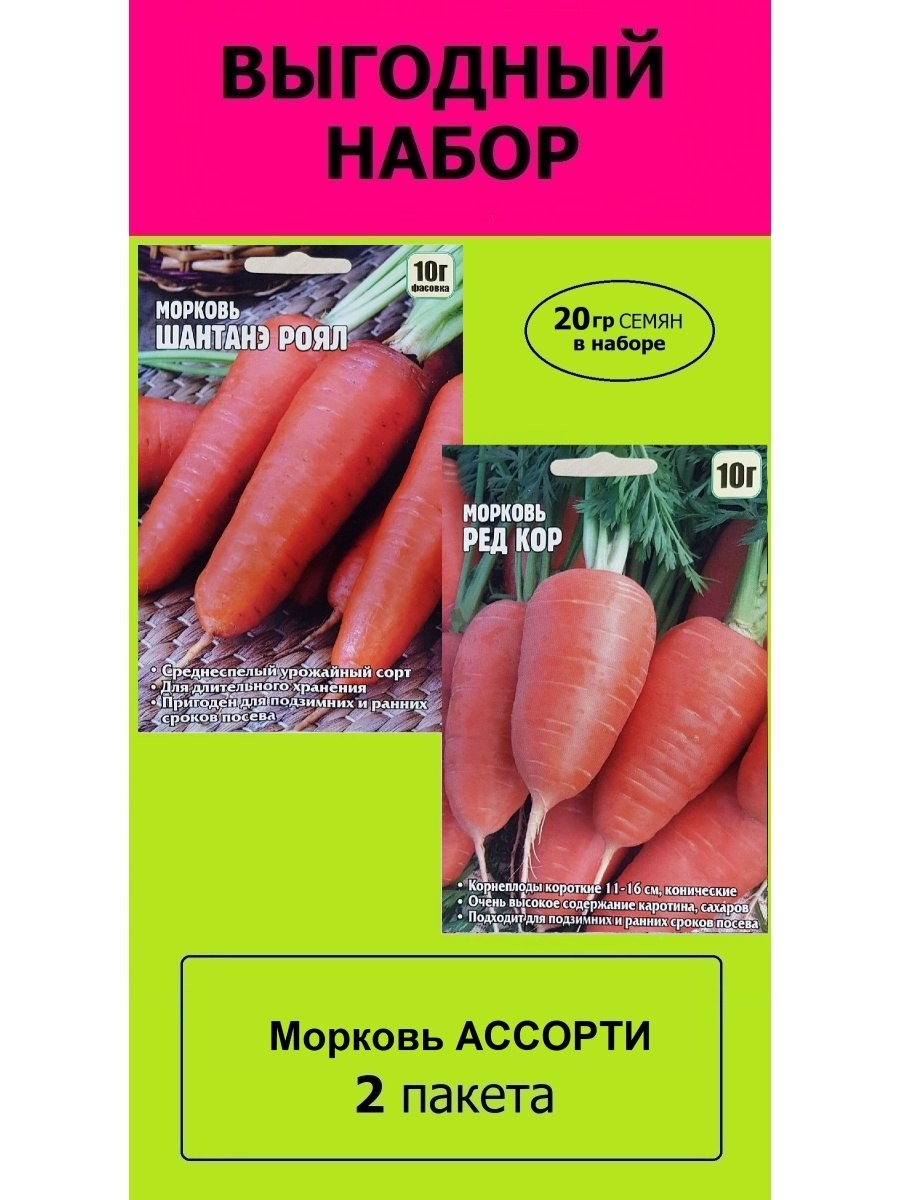 Морковь Шантане ред кор агрофака