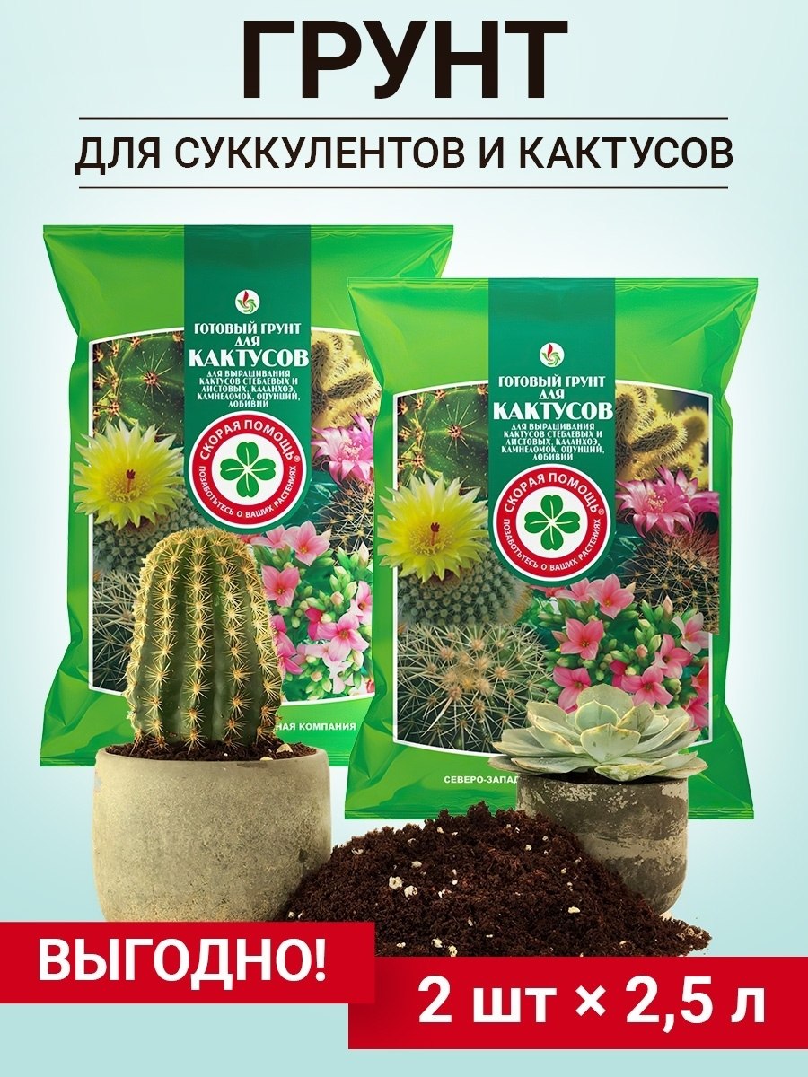 Грунт для суккулентов