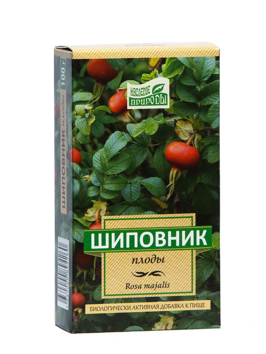 Шиповник тип плода