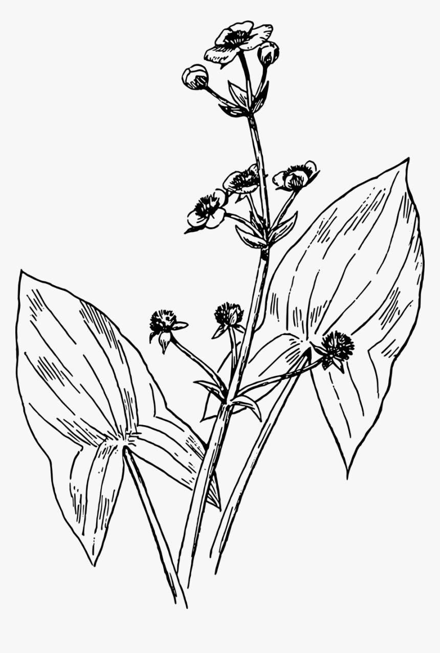 Голодные игры Китнисс с луком