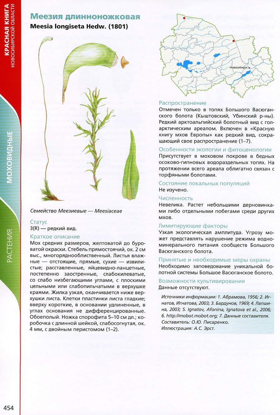 Меезия длинноножковая (Meesia longiseta