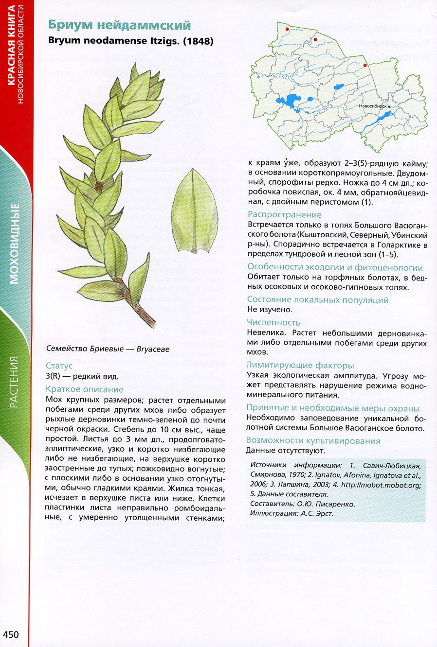Стих про охрану растений