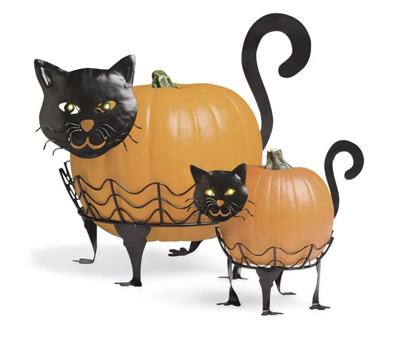 Картинка тыква кот. Памкин кет. Helloween Pumpkin Cat. Тыква на Хэллоуин кот. Хэллоуинская тыква в виде кота.