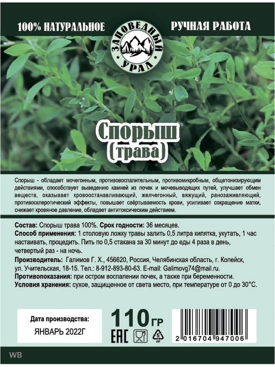 Спорыш трава чай