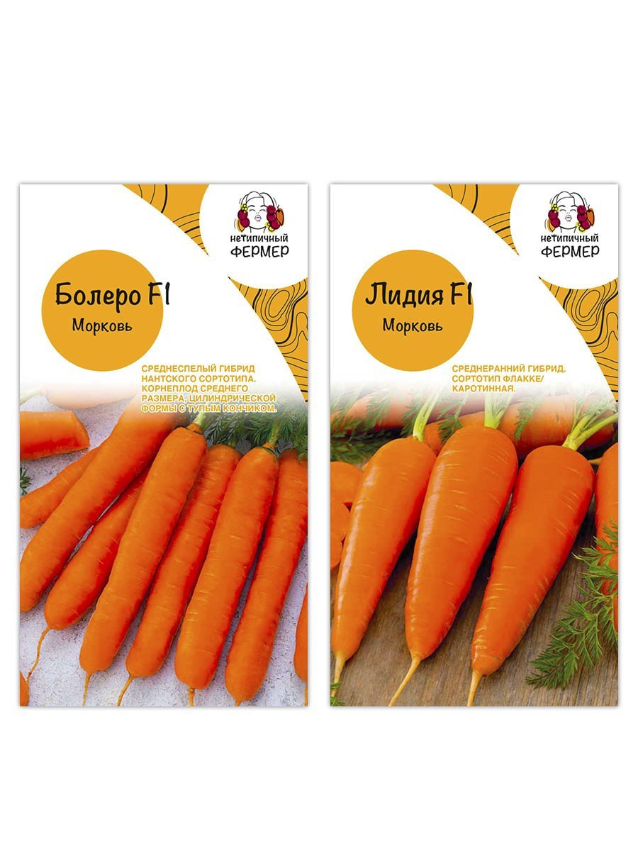 Кормовая морковь сорта
