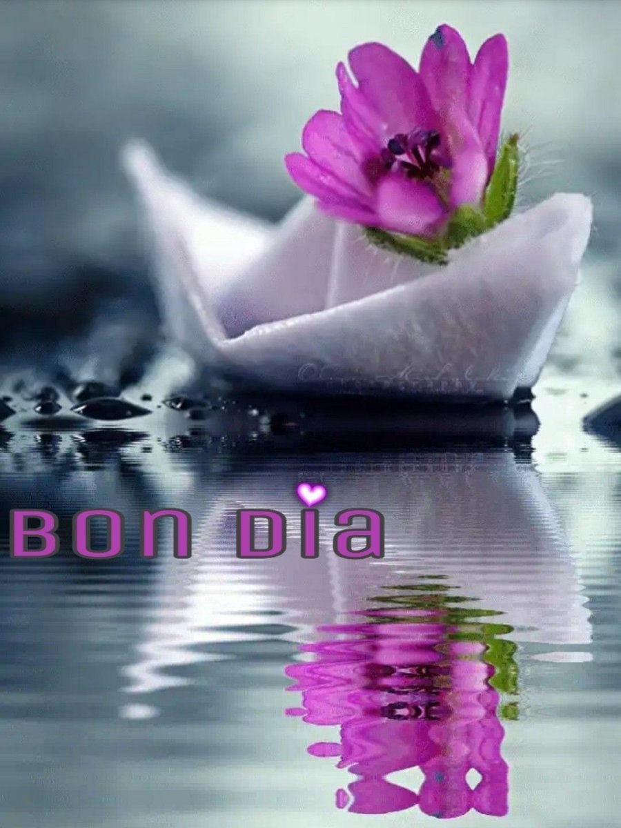 Цветы на воде