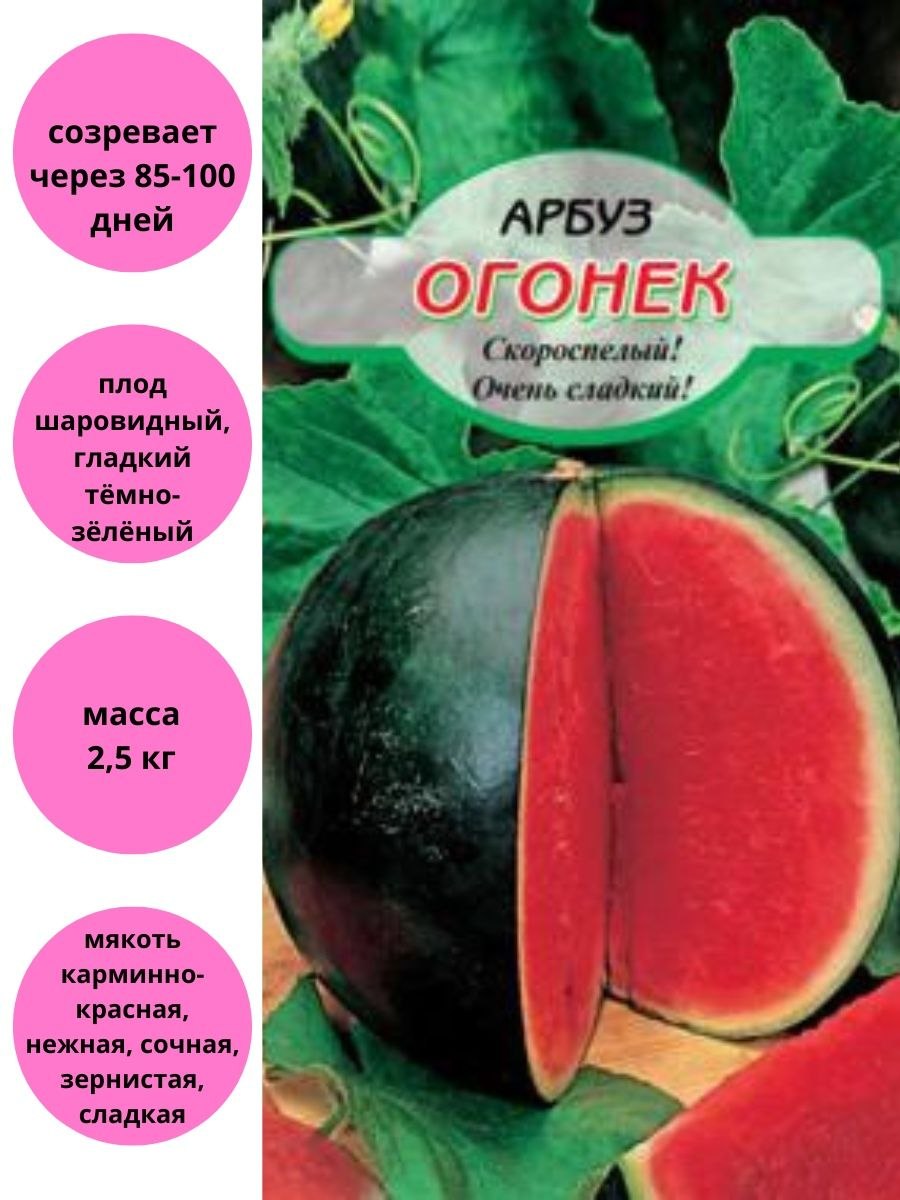 Семена Гавриш Арбуз огонек 1 г