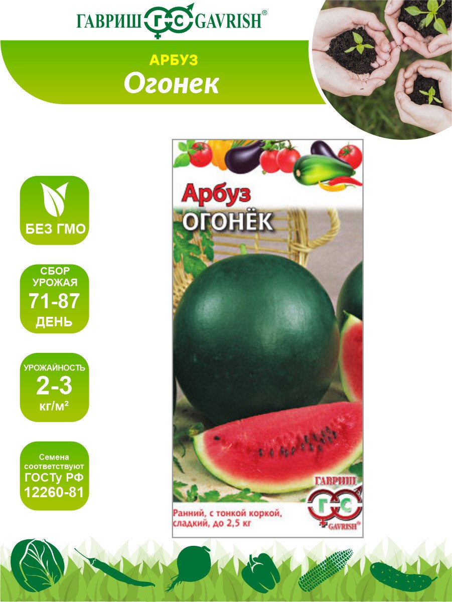 Семена СЕДЕК Арбуз огонек