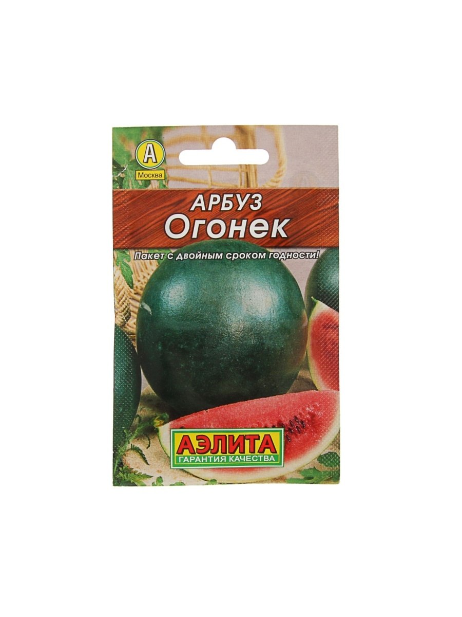Арбуз огонек СЕДЕК