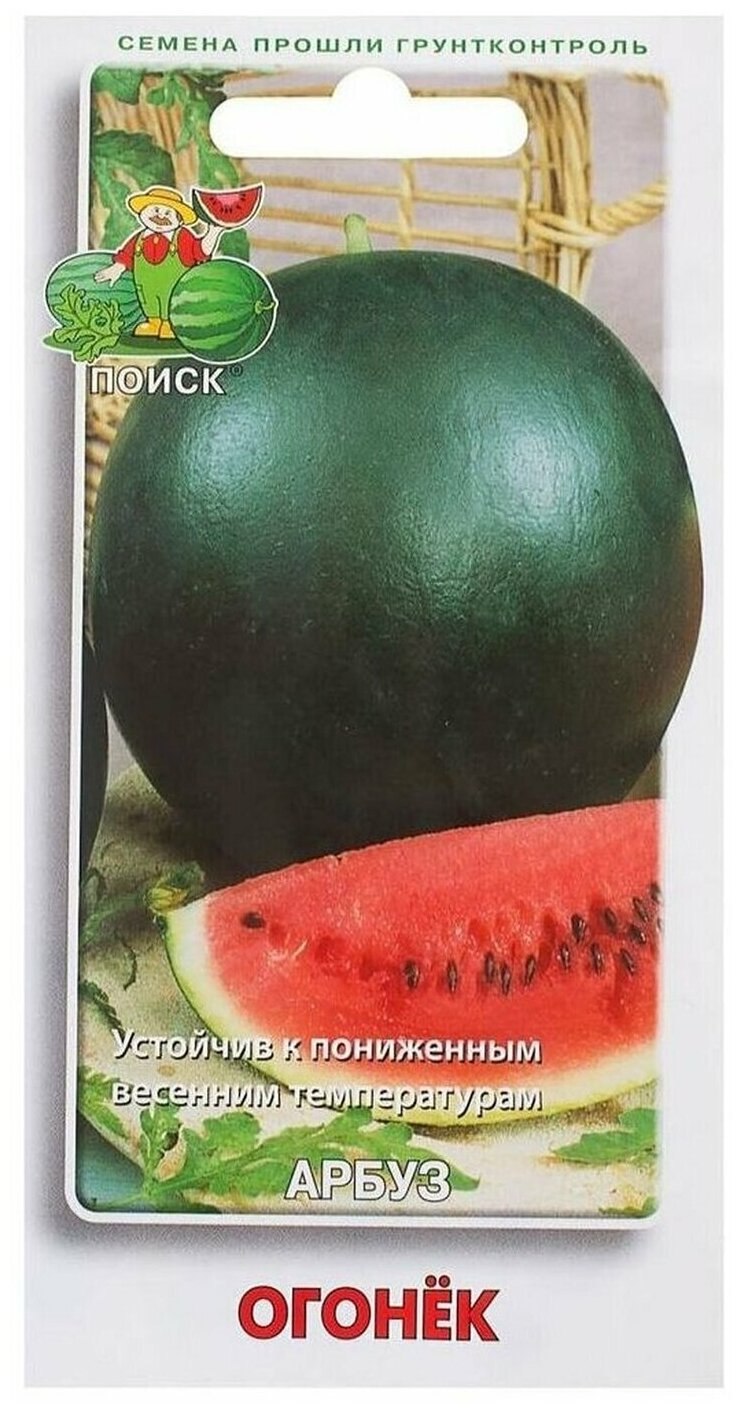 Семена Арбуз "огонек", 1 г