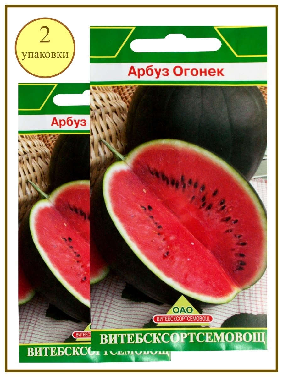 Арбуз огонек "Лидер" Аэлита ц