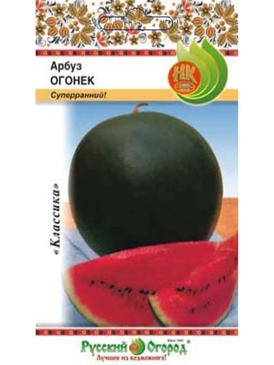 Арбуз зимний сорт