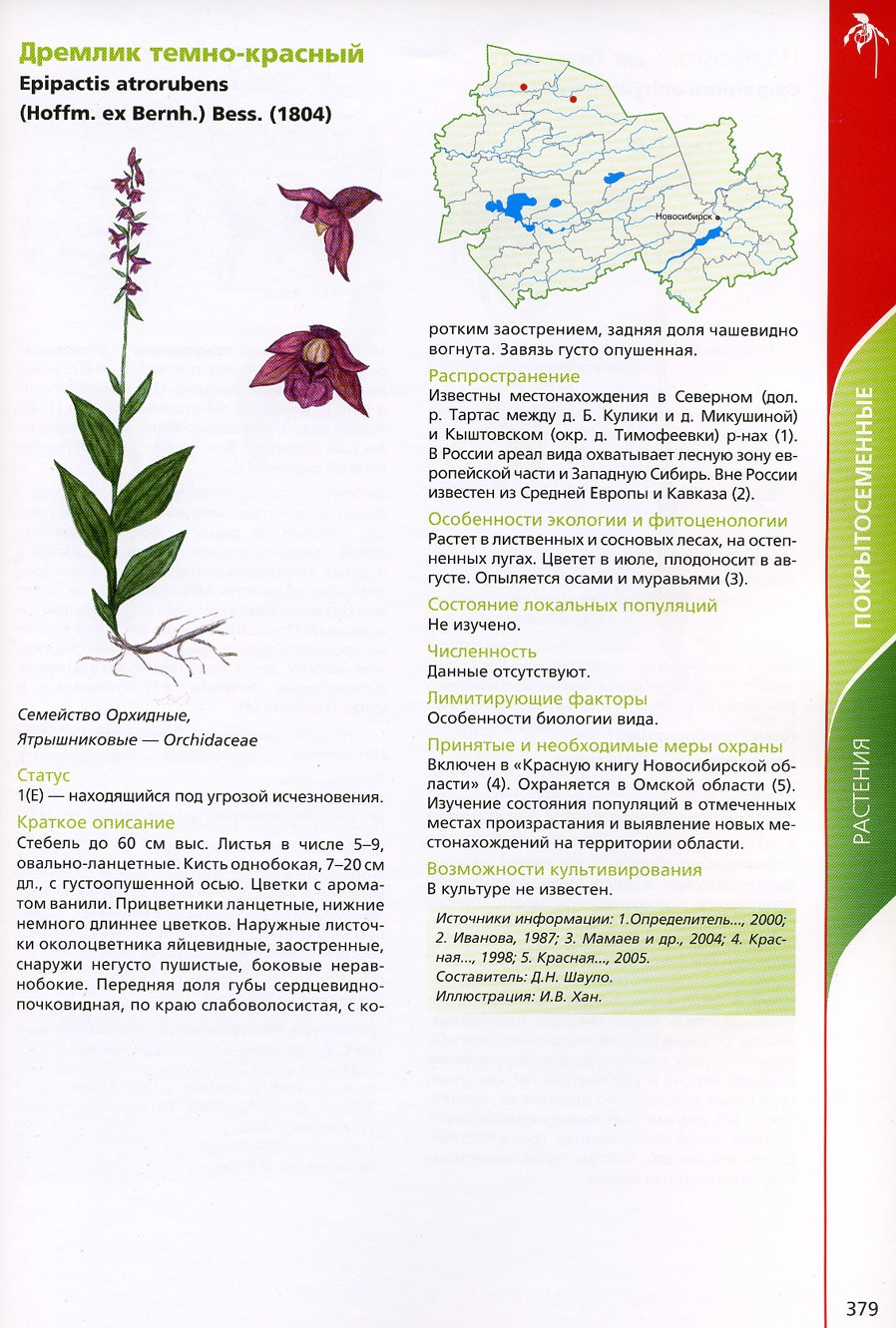 Дремлик темно-красный красная книга Новосибирской области