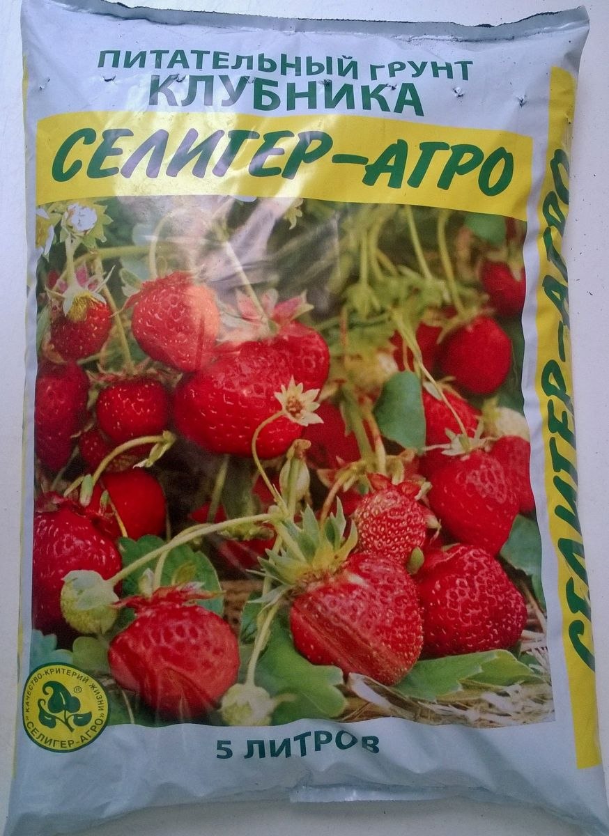 Грядки для клубники