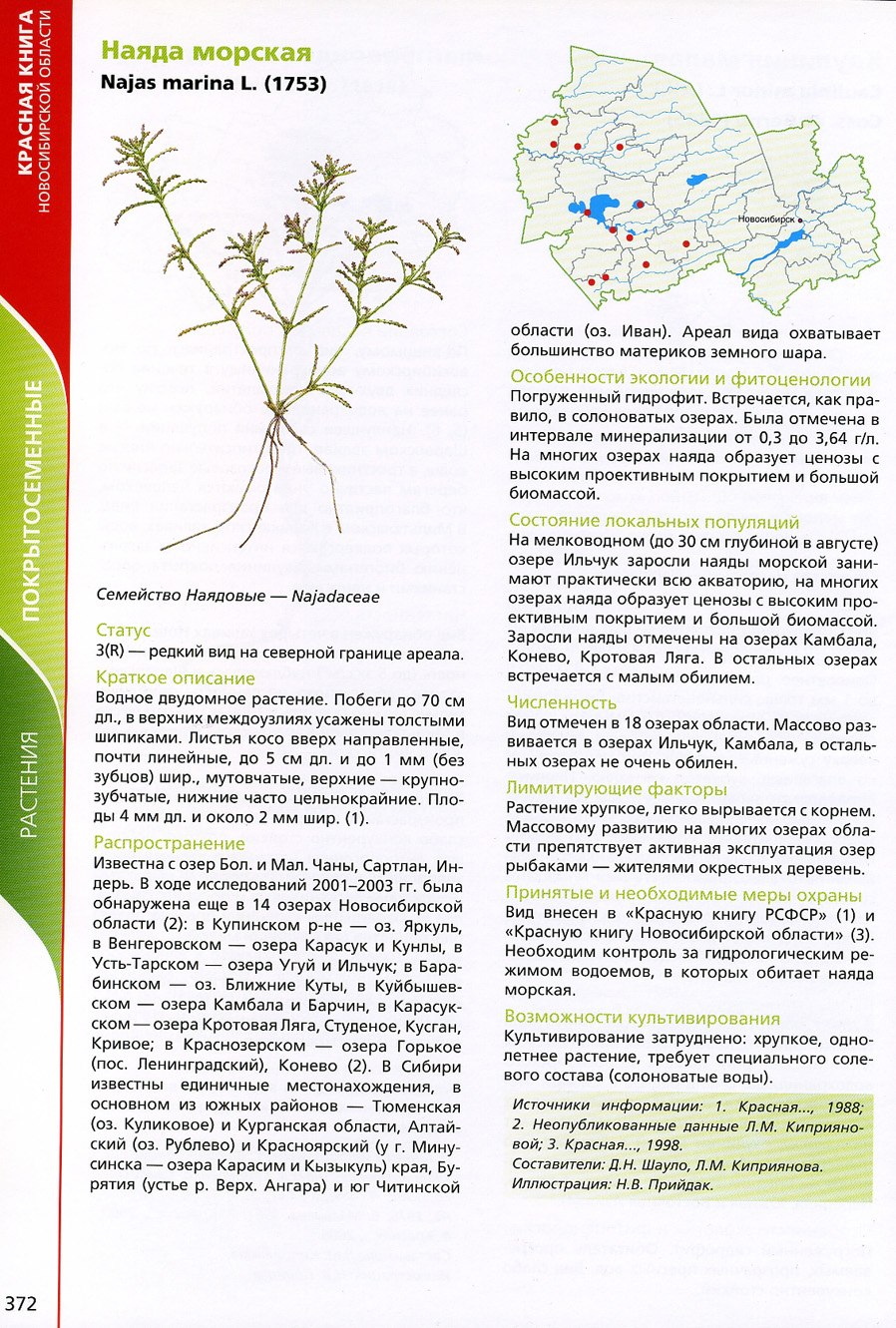 Красная книга Оренбуржья в кругу