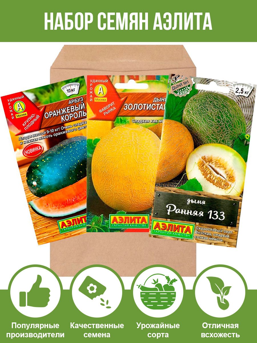 Дыня Сибирячка f1