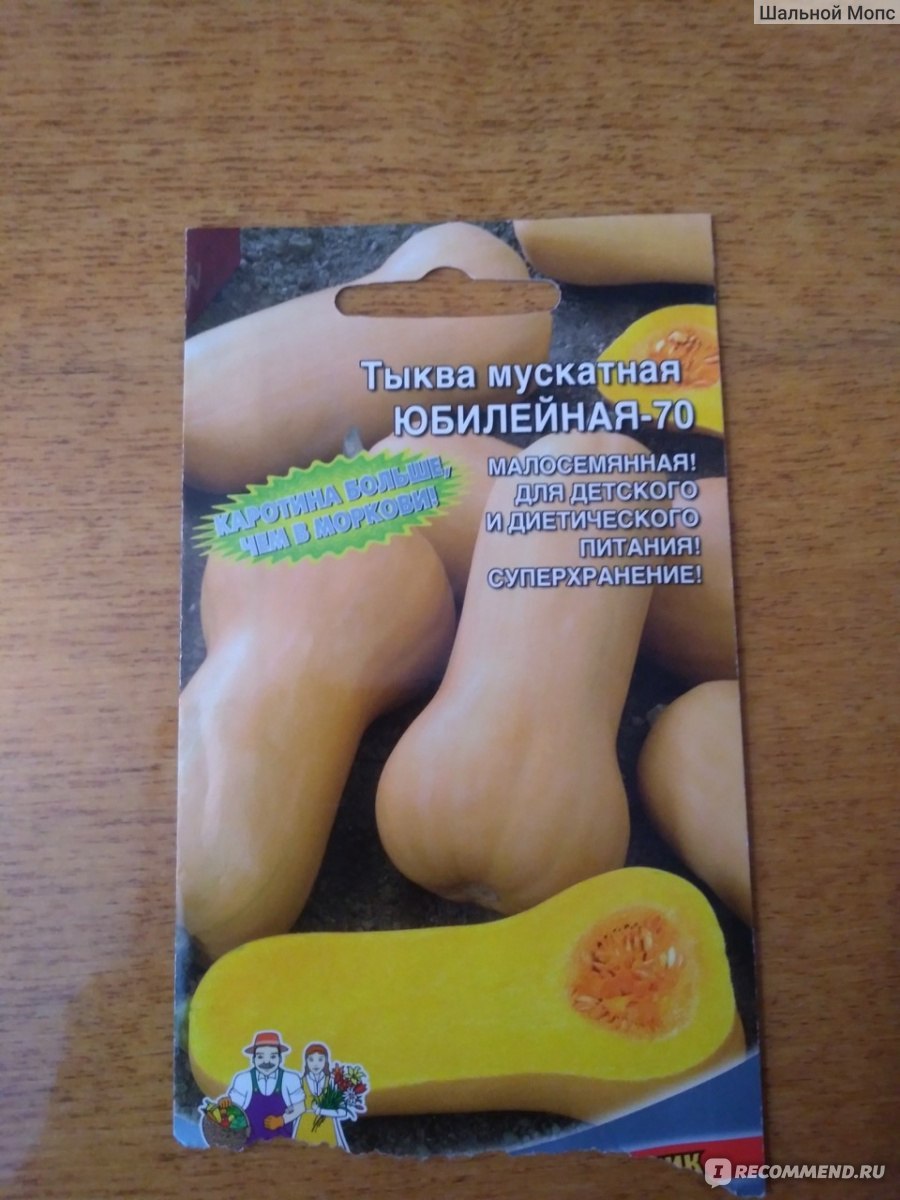 Тыква сорт оранж