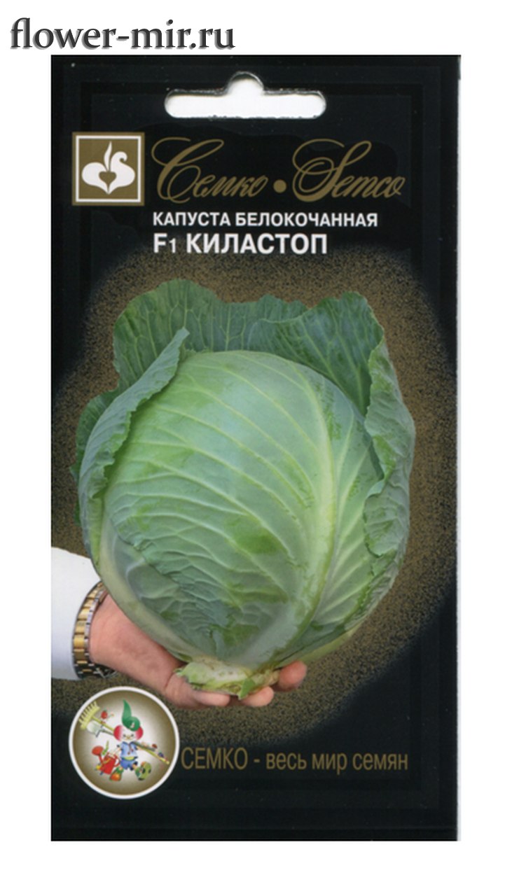 Капуста белокочанная кольраби брокколи