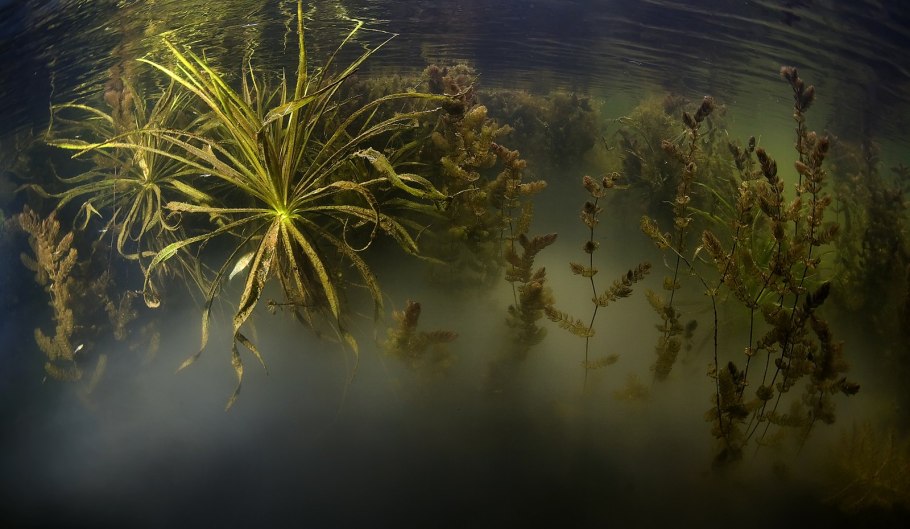 Андрей Нарчук фотограф