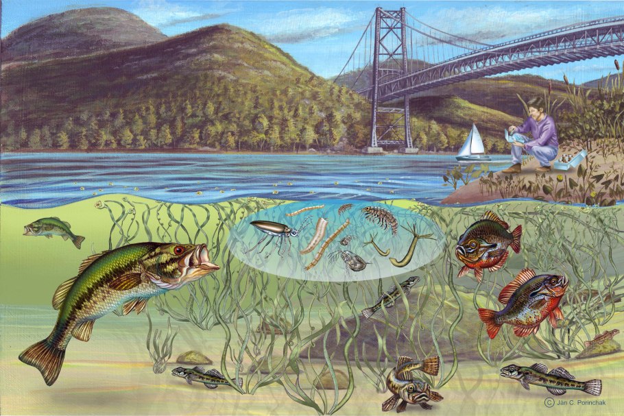 Сенот Ангелита