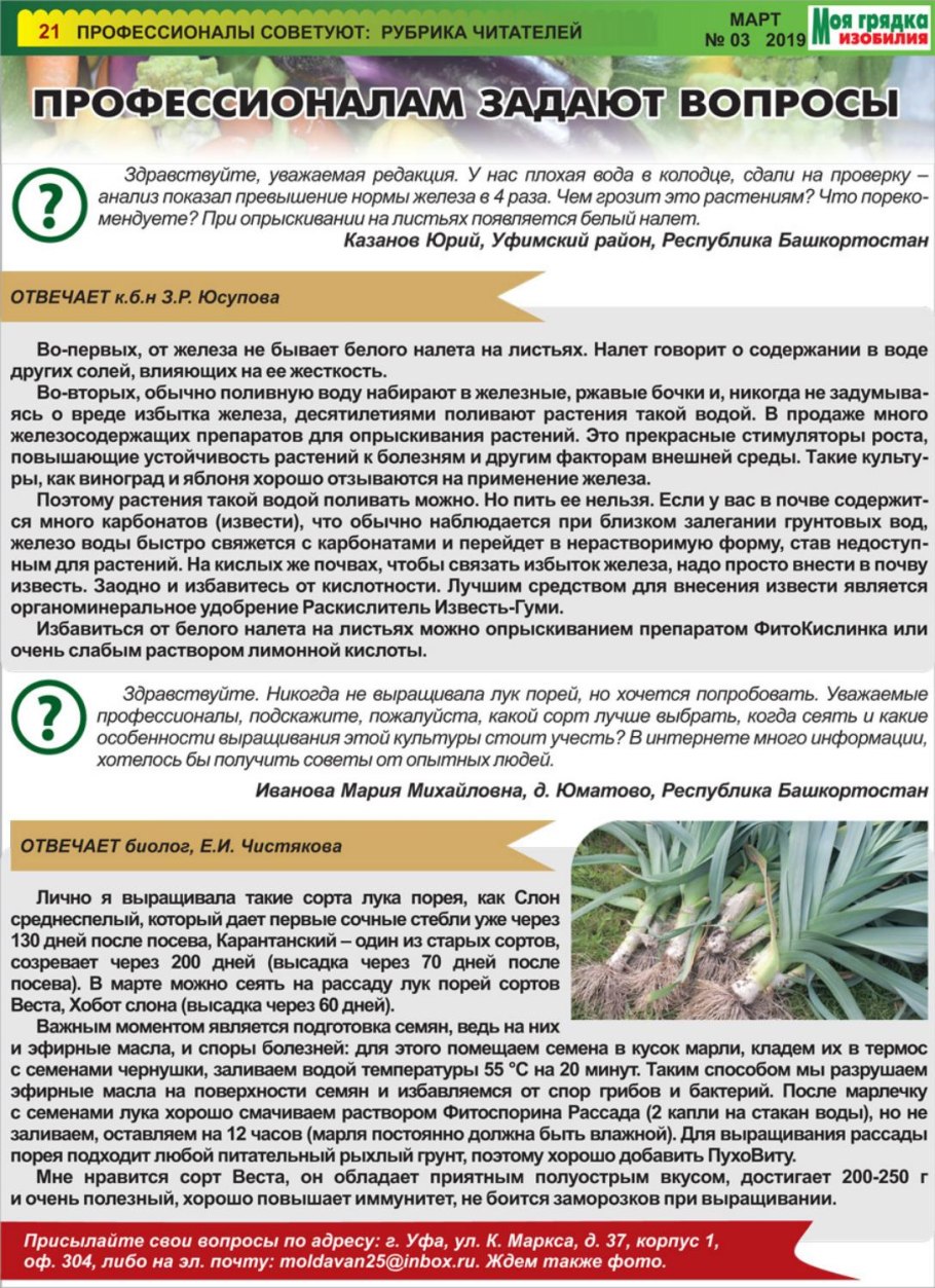 Сроки посева лука порея на рассаду