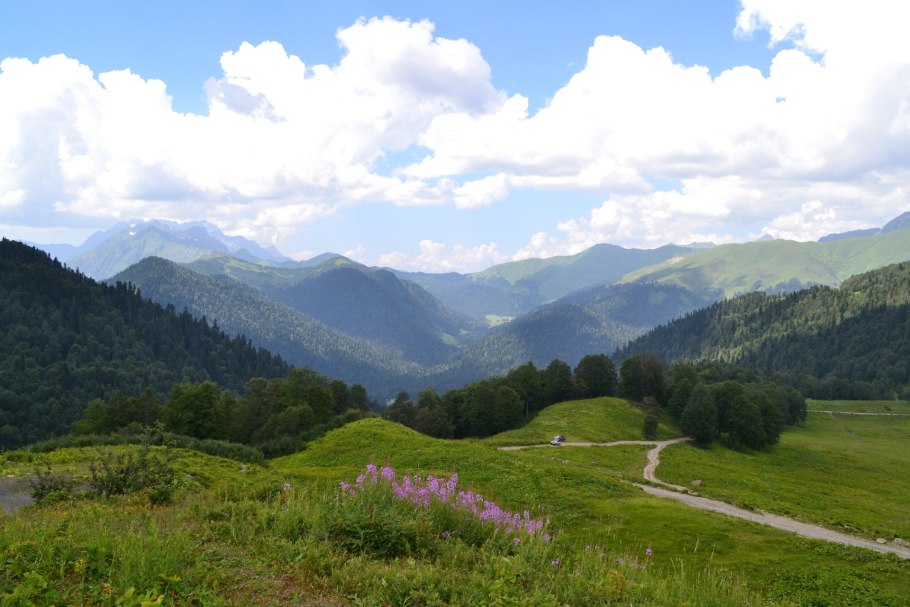 Альпийские Луга Рица