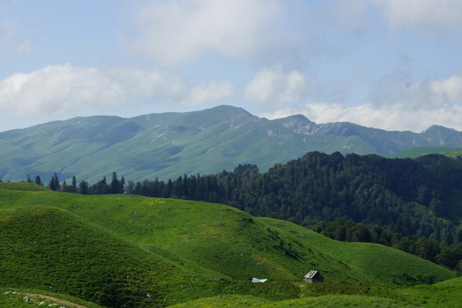 Альпийские горы в Абхазии